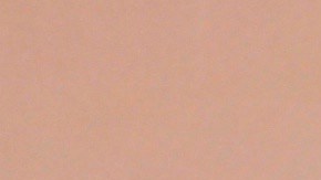 El mexicano Carlos Calderón envía un mensaje a sus compañeros de 'Despierta América'.