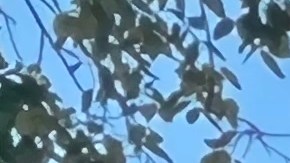 La abogada Marisol Cordero pide que se den mayores alivios a deudores