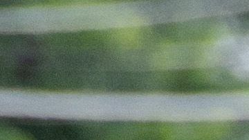 Agente estatal en Maryland