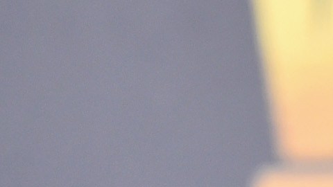 Se desconoce el precio que paga Tori Spelling por el alquiler de esta propiedad.