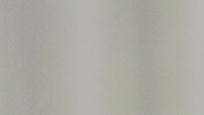 Emma Coronel se encuentra en libertad condicional.