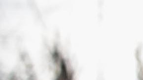 Los funcionarios encontraron los cadáveres a lo largo de Albany-Eden Road el martes y el miércoles pasado.