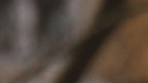 El hispano enfrenta al menos seis cargos por los delitos que cometió en menos de una hora.