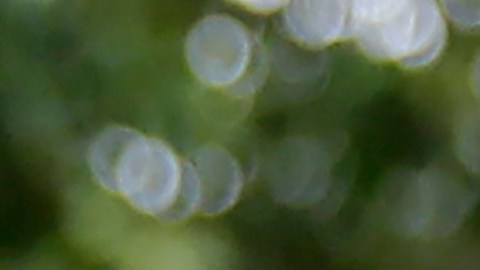 La empresa del exespía asegura que Trump presenta el reclamo simplemente para abordar sus "quejas de larga data".