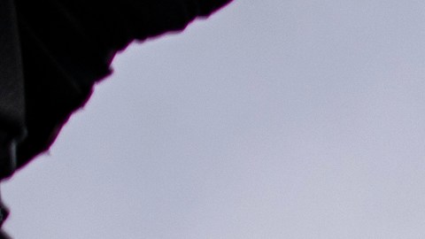 Uno de los hombres lideró a una multitud de alborotadores que coreaban: "¿La casa de quién? ¡Nuestra casa!".