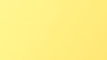 La chica deportada de Estados Unidos gestionó un documento a través de internet