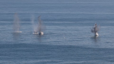 Miembros de Hamás intentaron entrar a Israel por el mar.