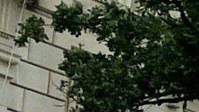 La "Black Lives Matter Plaza" recibió su nombre durante un período de protestas en 2020.