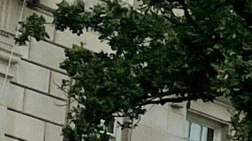 La "Black Lives Matter Plaza" recibió su nombre durante un período de protestas en 2020.