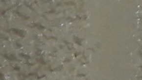 Se menciona la liberación de presos políticos como un punto importante para Washington en estas conversaciones.