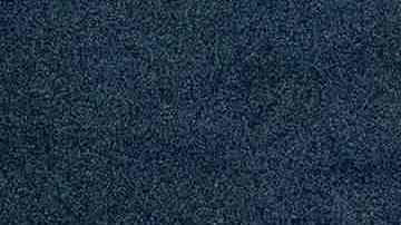 Las nutrias marinas no son alimento habitual de estas orcas.