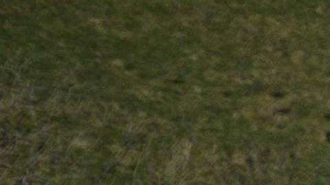 Restos de un fuerte del Imperio Romano.