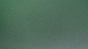 Jack, un agente K-9 de Indiana.