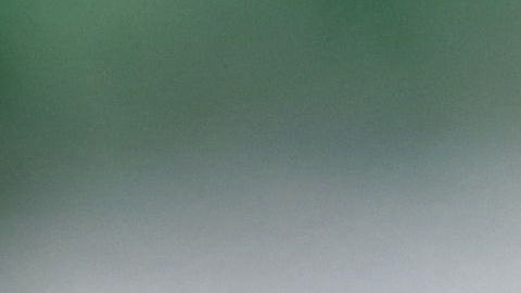 Jack, un agente K-9 de Indiana.