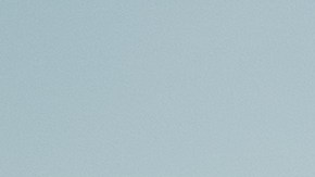 El anciano fue trasladado en Mount Sinai Beth Israel para recibir tratamiento y finalmente lo dieron de alta.