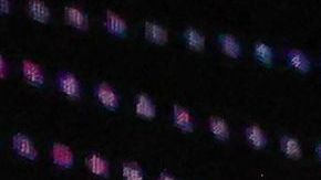 El evento contó con la presencia de Cristiano Ronaldo, Gianni Infantino, entre otras personalidades.