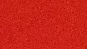 Ecuador demandó al TAS por la resta de puntos tras la mala inscripción de Byron Castillo en Eliminatorias