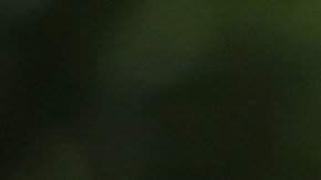 "Joe Biden se ha pasado la vida diciendo mentiras", dijo el exalcalde de Nueva York.