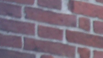 La universidad expresó su esperanza de tomar medidas para "modular en lugar de amplificar las divisiones".