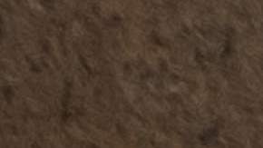 Nuevos descubrimientos en Egipto.