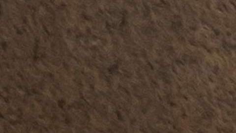Nuevos descubrimientos en Egipto.