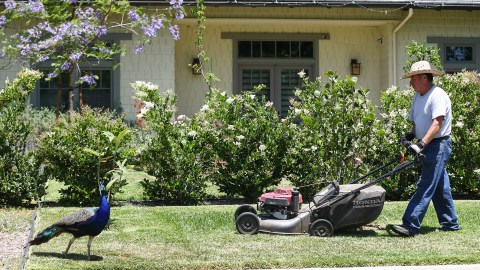 Jardinero en California
