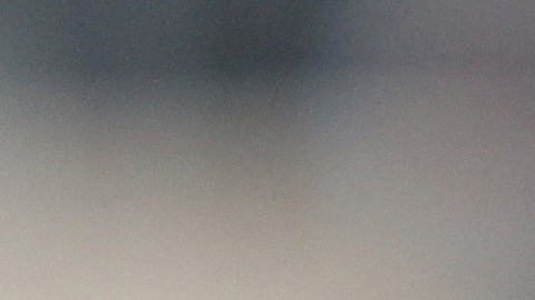 Antonio Brown durante su última pasantía por la NFL con Tampa Bay Buccaneers.