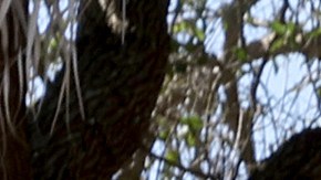 Broward County Schools Mark 4th Anniversary Parkland School Shooting