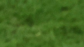 Lionel Messi y Lionel Scaloni.