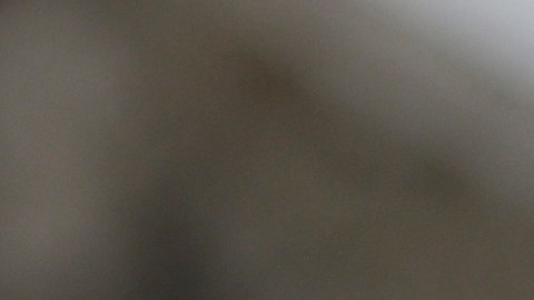Mace aseguró que ha hablado tanto con Jordan como con Scalise y considera que ambos son "grandes líderes".