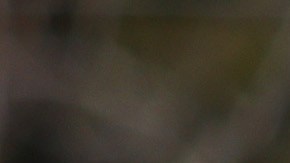 Superchargers de Tesla en Israel.