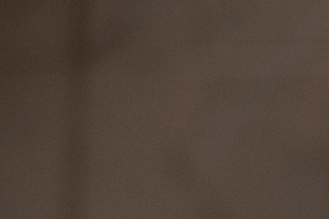 David Benavidez, boxeador de ascendencia mexicana.