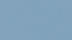 Las personas, que excepto uno todos eran estadounidenses, llegaron a la ciudad de Tampa en Florida en la noche del domingo a bordo de un avión de la aerolínea EuroAtlantic.