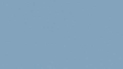 Las personas, que excepto uno todos eran estadounidenses, llegaron a la ciudad de Tampa en Florida en la noche del domingo a bordo de un avión de la aerolínea EuroAtlantic.