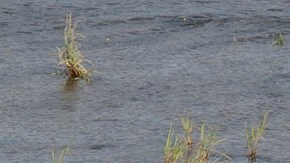 Texas extiende su cerca en la frontera con Ciudad Juárez y defensores de derechos humanos lo critican