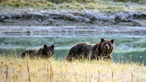 US-PARKS-YELLOSTONE NATIONAL PARK