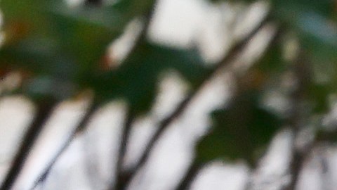 el juez Christopher Burke presentará a Hunter Biden los cargos a los que se enfrenta y él tendrá la oportunidad de declararse formalmente no culpable.