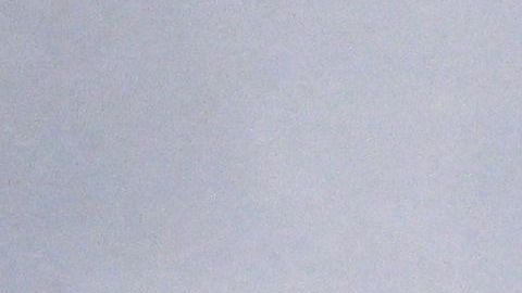 Dorothy Hoffner grabó su nombre en los libros de récords.