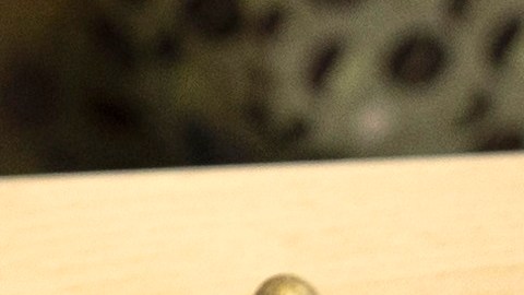 USCIS pretende reducir a 30 días máximo la respuesta en renovaciones de permiso de trabajo.