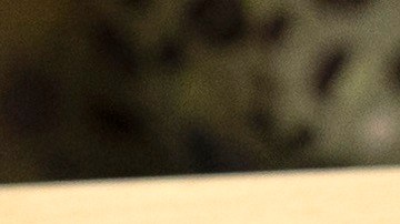 Los indocumentados sin pasado criminal podrían obtener una Green Card.