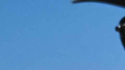 Uno de los proyectos de ley propuestos convertiría en un delito menor la desnudez pública por cualquier motivo.
