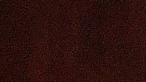 Firerose y Billy Ray Cyrus