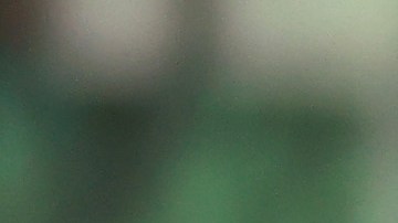 Mayweather durante el encuentro entre Nashville e Inter Miami por la final de la Leagues Cup.