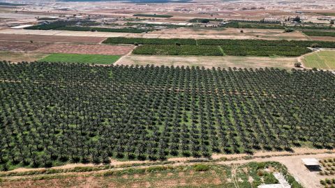 Campo agrícola en Israel.