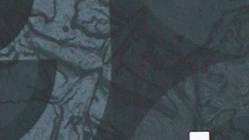 Alejandra Guzmán disfrutó de varias comodidades.