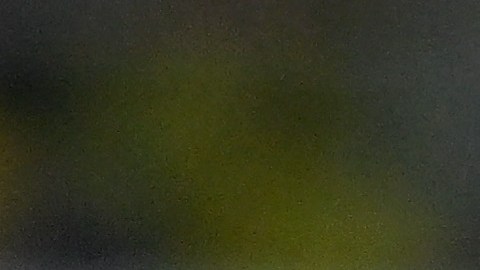 Neymar Jr. celebra con Fernando Diniz uno de los goles ante Bolivia por las eliminatorias al Mundial 2026.