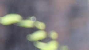 AOC apunto que ningún líder en Estados Unidos debería amplificar un mensaje de odio como ese.