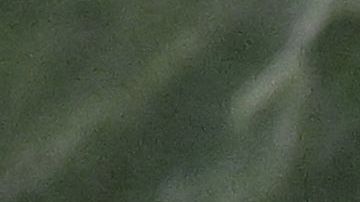 El presidente boliviano, Luis Arce, atribuye esta medida a los presuntos crímenes de guerra.