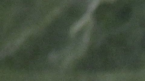 El presidente boliviano, Luis Arce, atribuye esta medida a los presuntos crímenes de guerra.