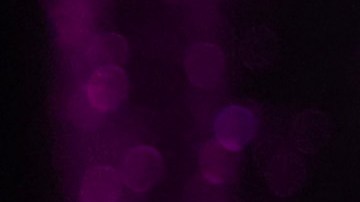 Shakira posando junto a sus hijos Milan y Sasha Piqué.